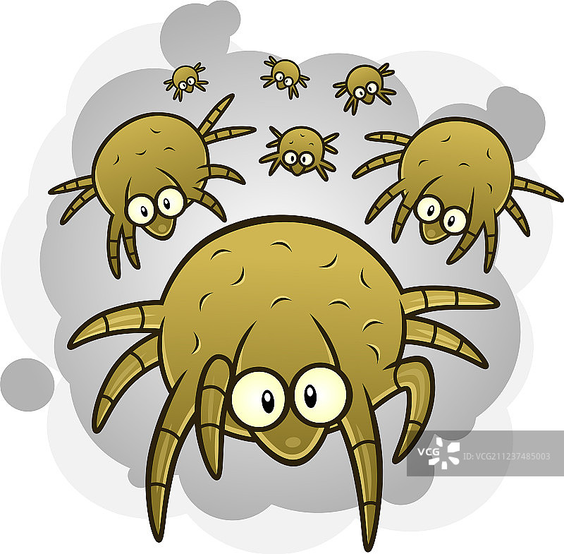 尘螨图片素材