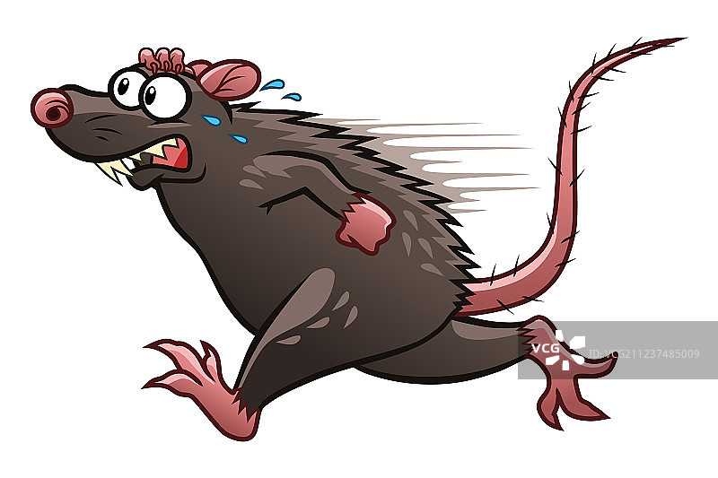 逃跑的老鼠图片素材