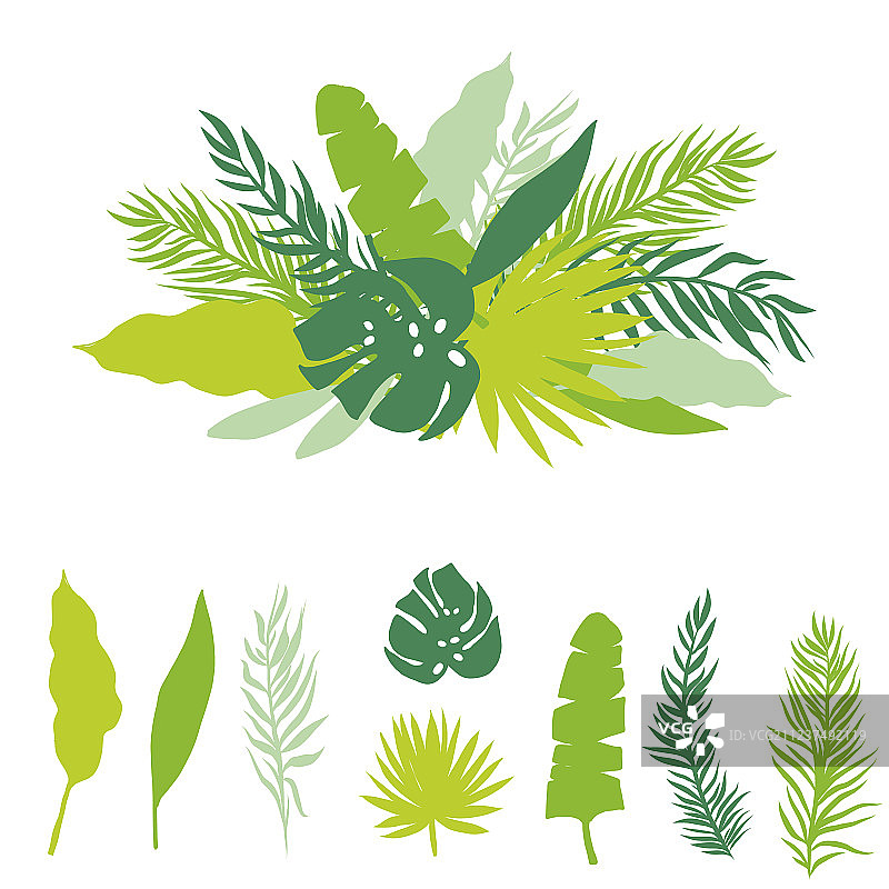 棕榈叶剪影合集图片素材