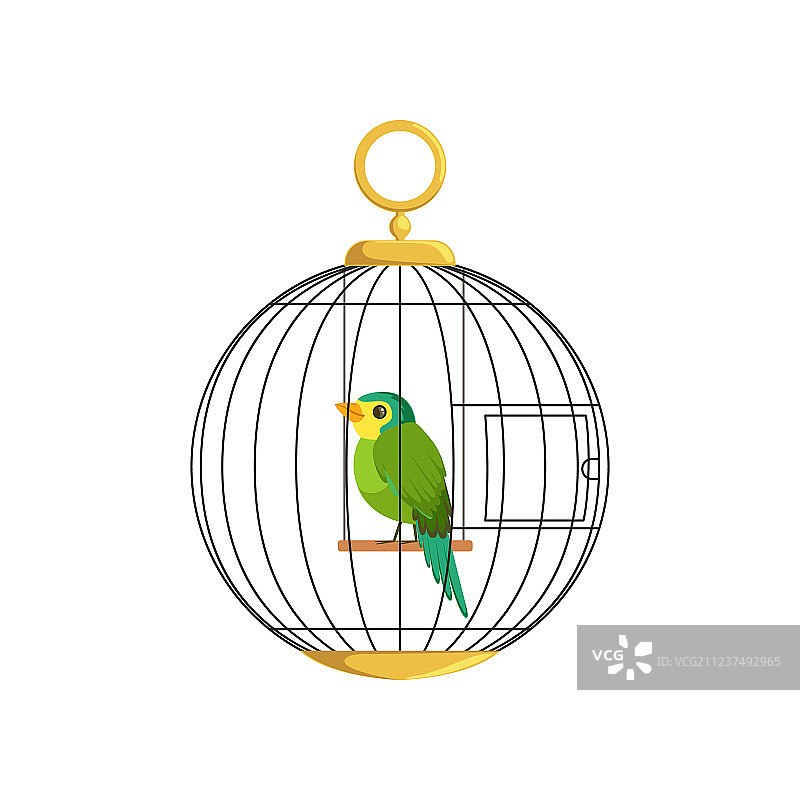 笼子里面的彩色小鸟图片素材