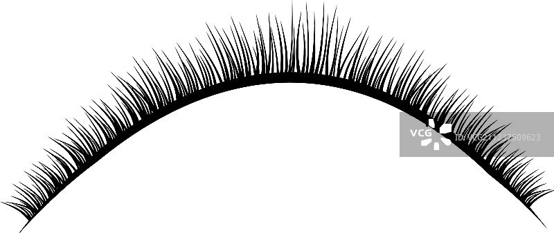 逼真的假睫毛集合图片素材