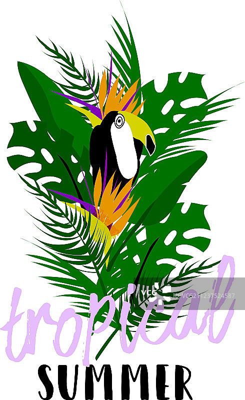 夏季冲浪板图片素材