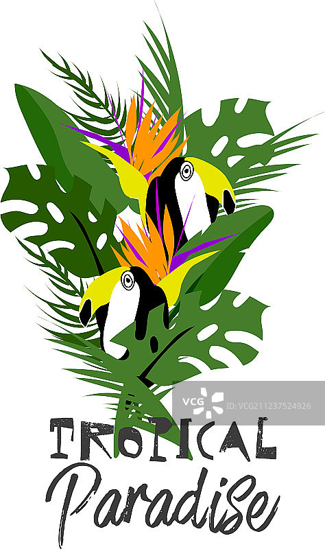 夏季冲浪板图片素材