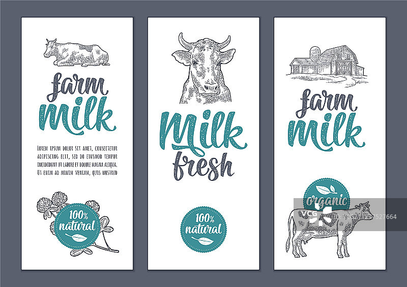 奶牛和三叶草农场海报或标签模板图片素材