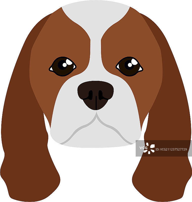 查理士王小猎犬头像图片素材