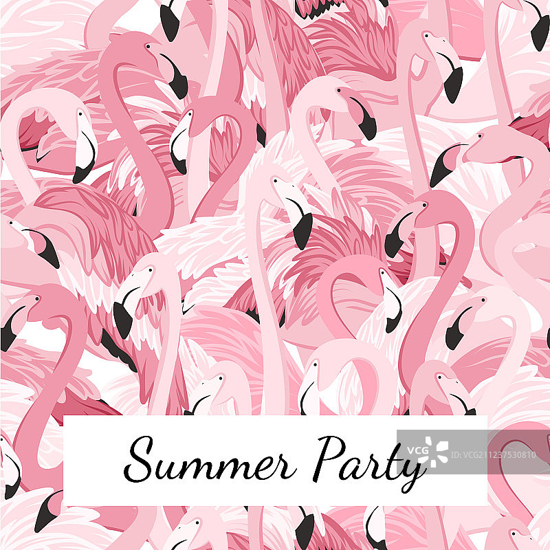 粉红火烈鸟夏日派对图片素材