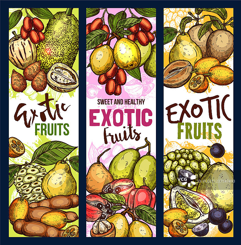 异域水果和浆果甜点图片素材