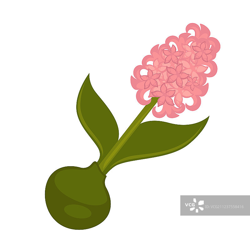 粉色丁香花与绿色花茎图片素材