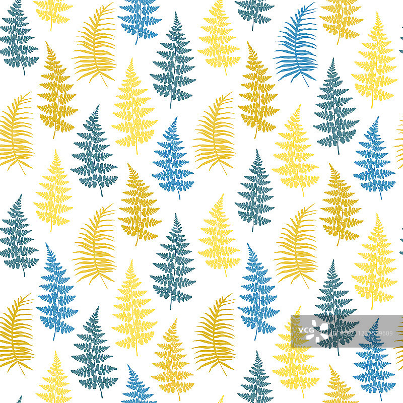 蕨类草本植物热带森林叶图片素材