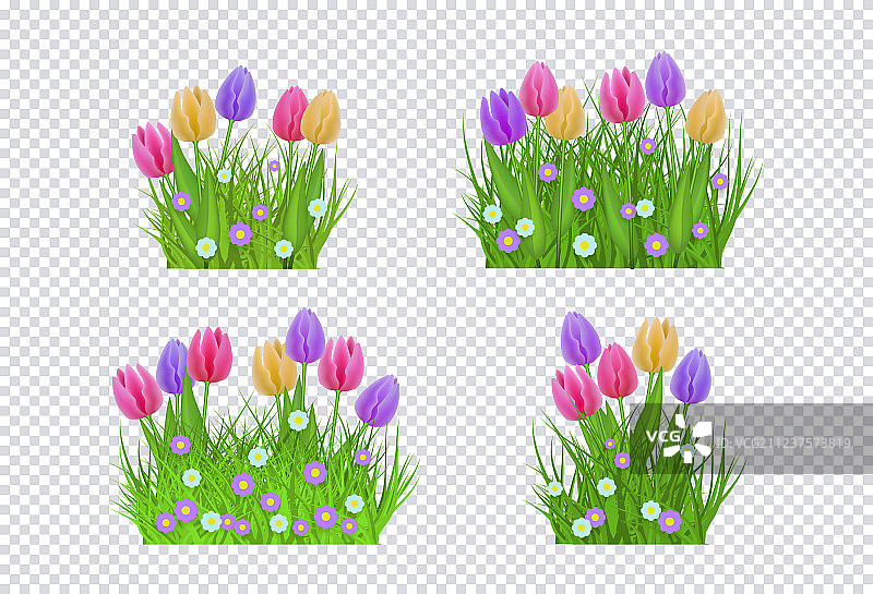 绿色草地郁金香花朵合集图片素材