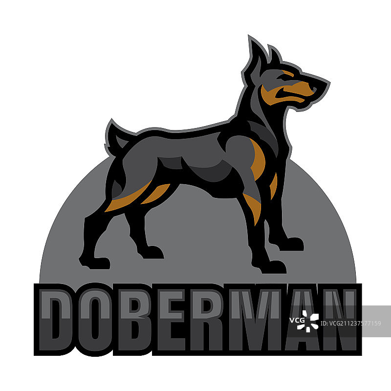 杜宾犬标志图片素材