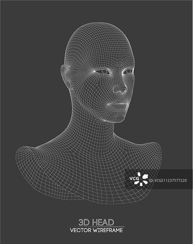 3D头部线框图图片素材