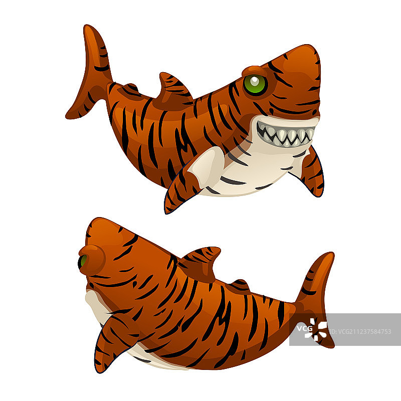 卡通虎鲨露出锋利的牙齿图片素材