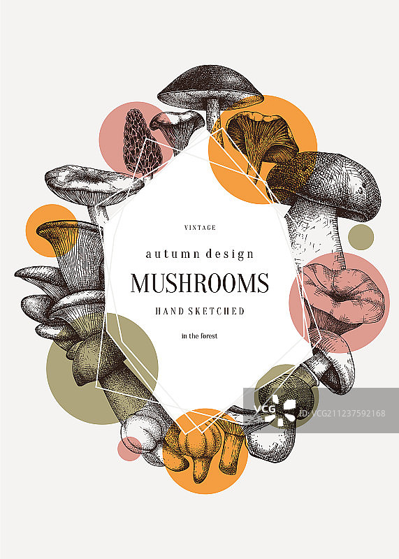 秋季蘑菇主题框架设计图片素材