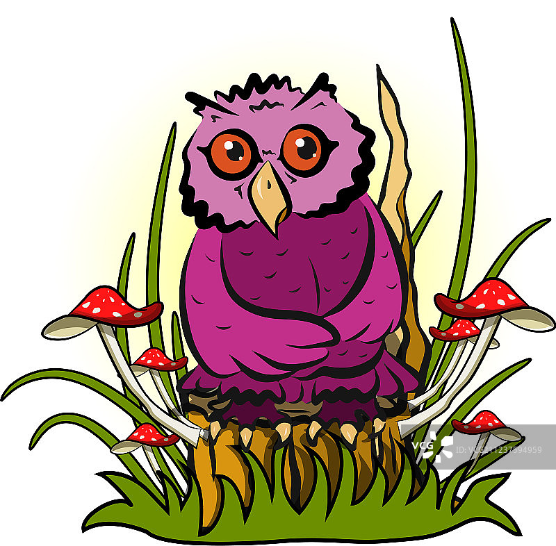 树上的猫头鹰图片素材