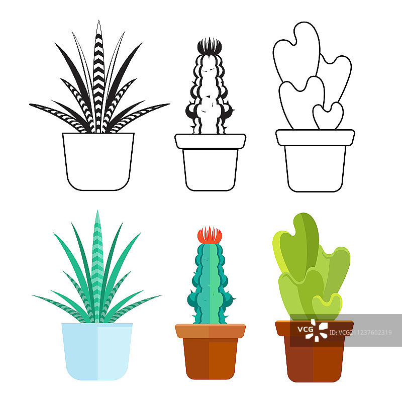 热门多肉植物线条卡通图案家居套装图片素材