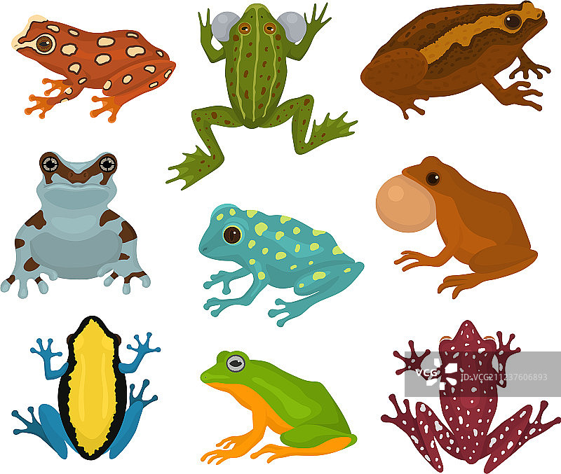 青蛙卡通形象图片素材