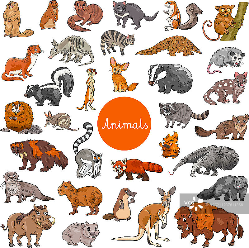 大型野生哺乳动物角色合集图片素材