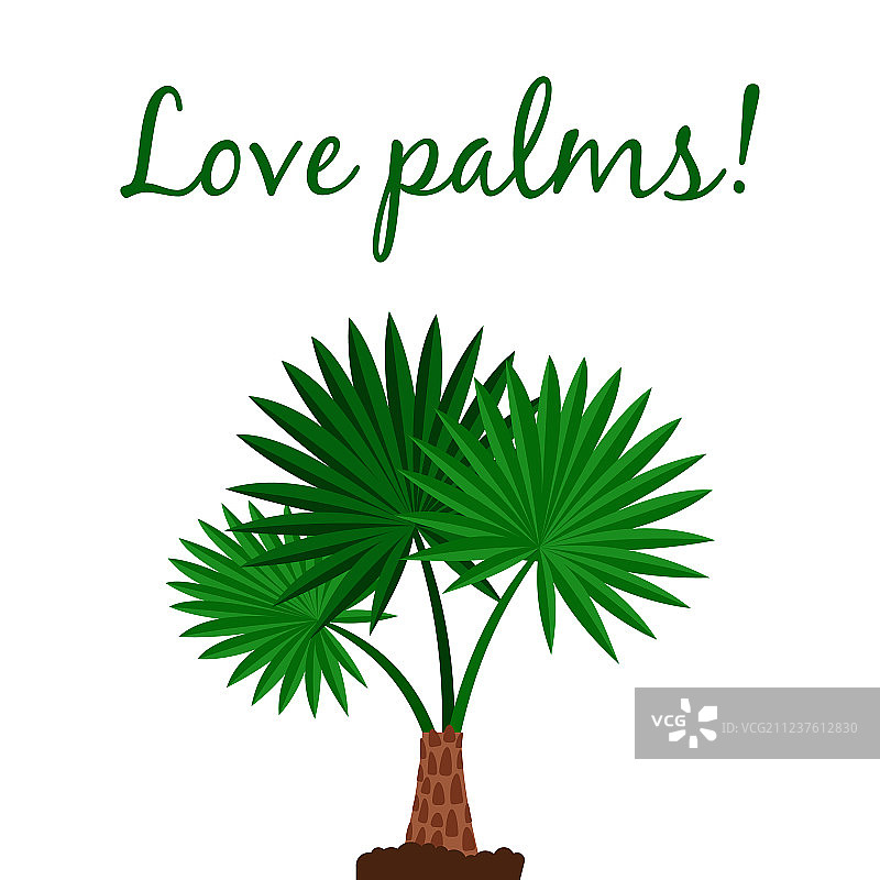 华盛顿棕榈树海报图片素材