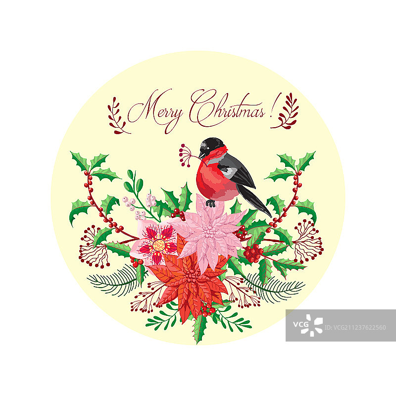 带有鸟和一品红的圣诞节装饰品图片素材