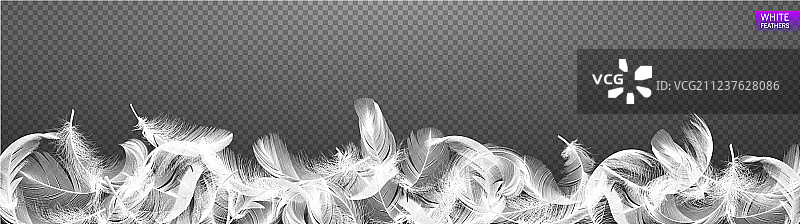 逼真的飘落羽毛图片素材