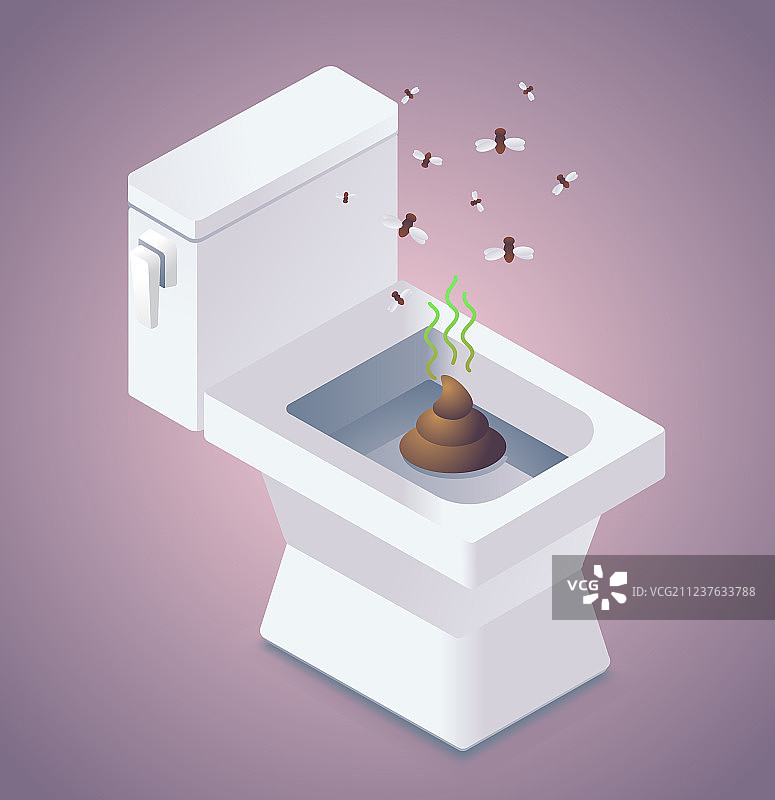 马桶里的粪便和苍蝇图片素材