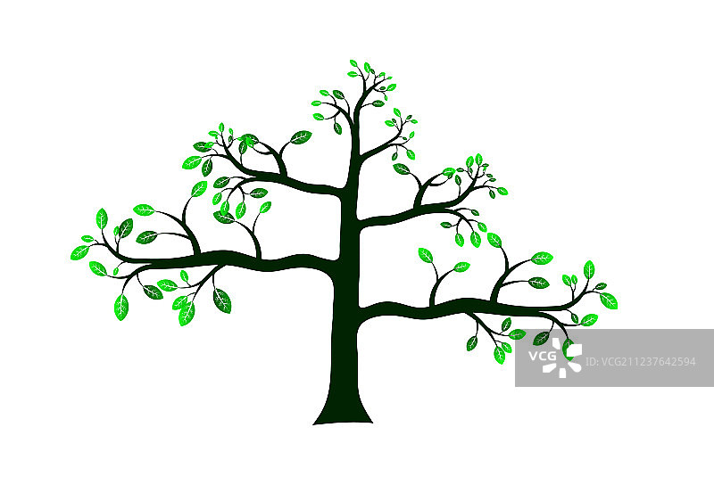 绿色的树图片素材