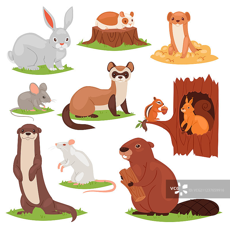 卡通森林动物图片素材
