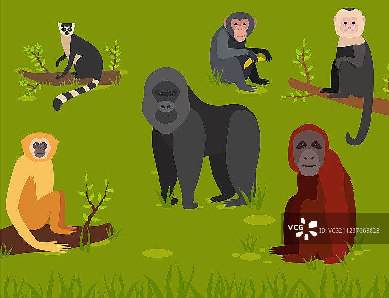 卡通猴子动物形象：各种面包和野生动物园图片素材