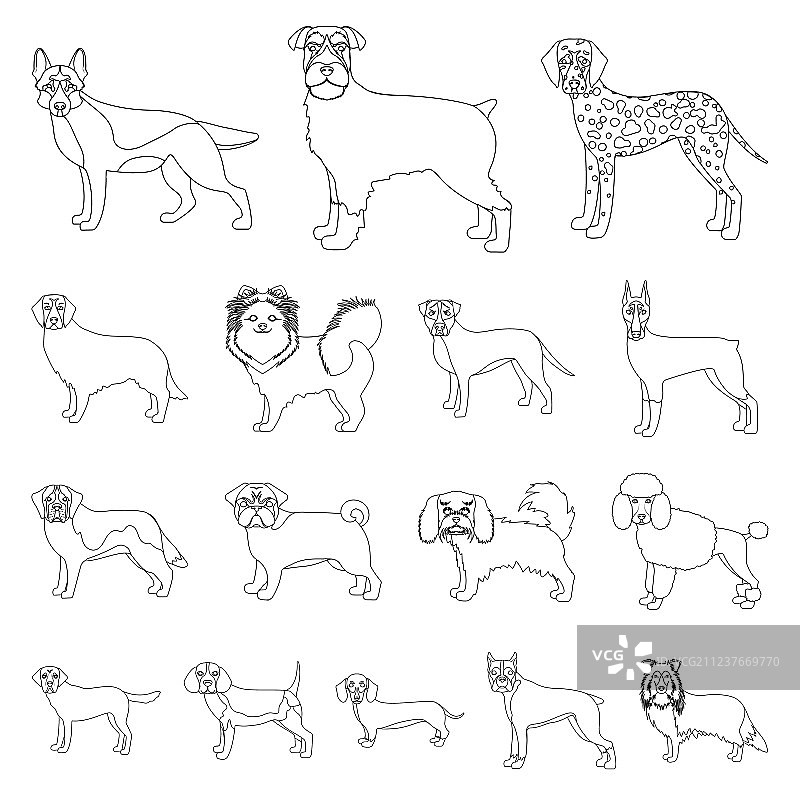 犬品种轮廓图标合集图片素材