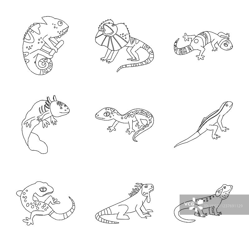野生动物与自然标志图片素材