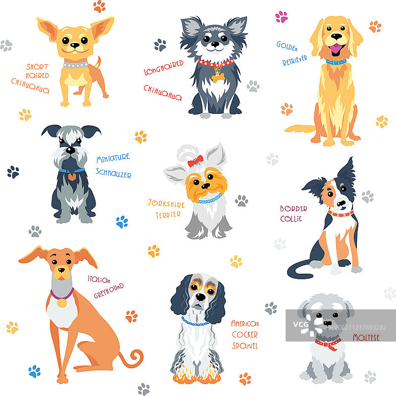 彩色小狗合集图片素材