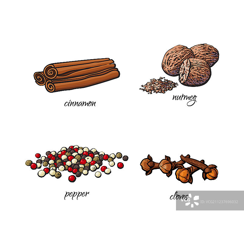 扁平手绘香料调味品草药套装图片素材