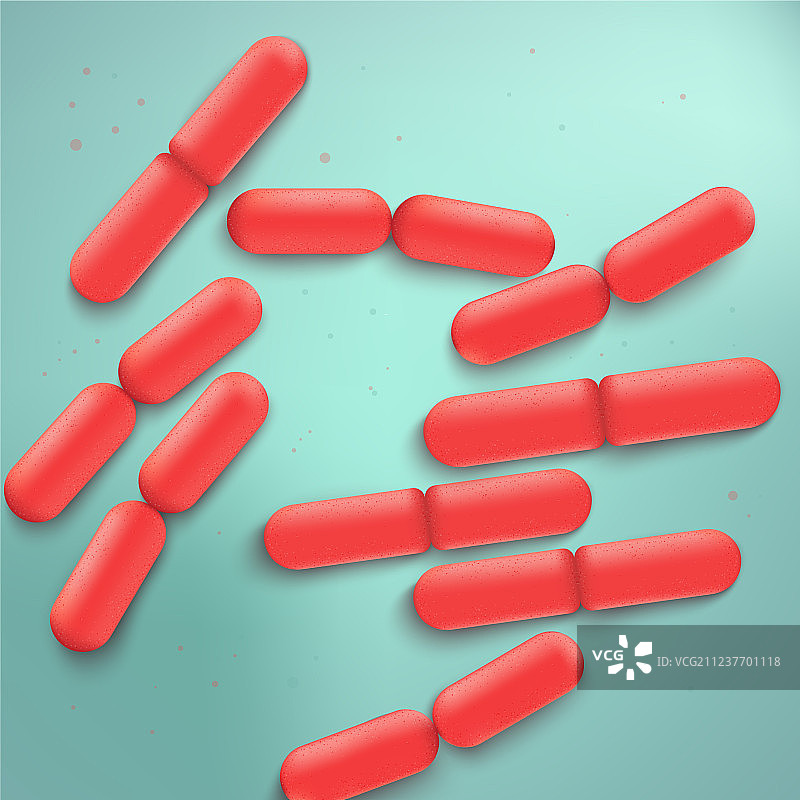 保加利亚乳杆菌菌落写实图片素材