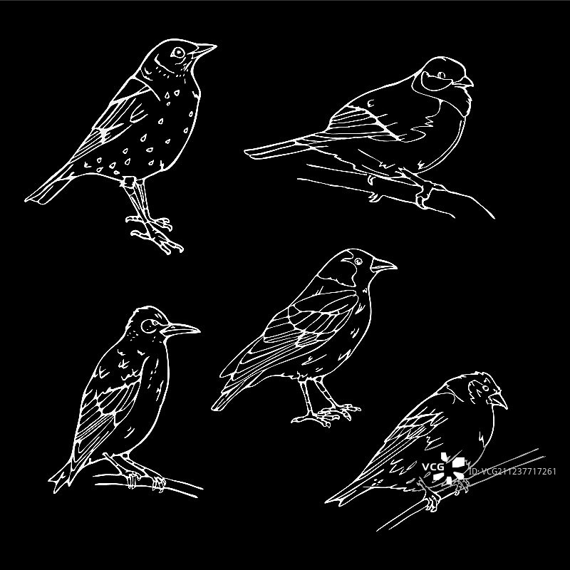 鸟类雕刻风格印章简笔画图片素材