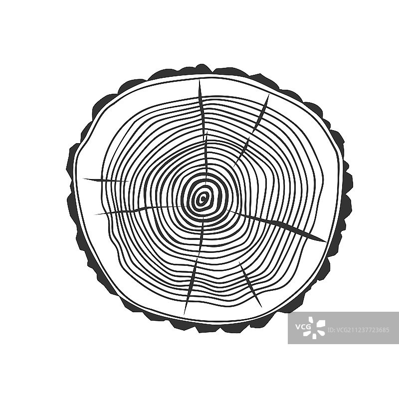 树木的横截面图片素材