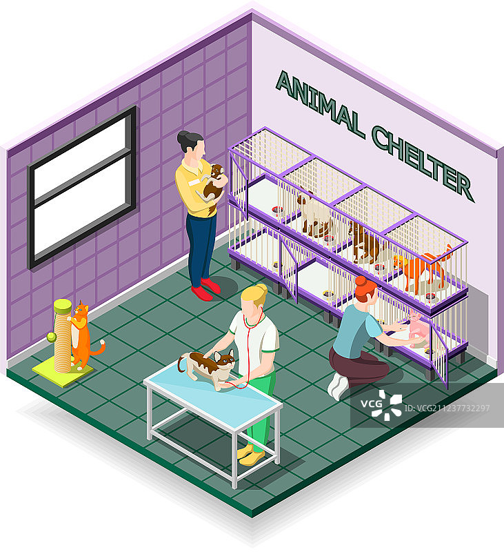 动物收容所2.5D构图图片素材