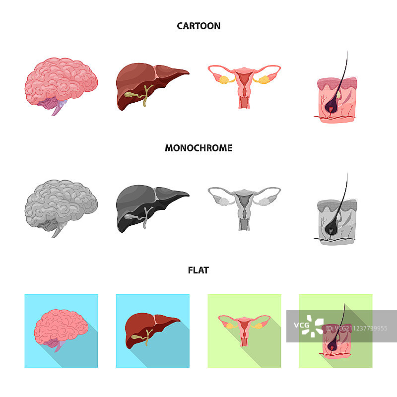人体与身体标志合集图片素材