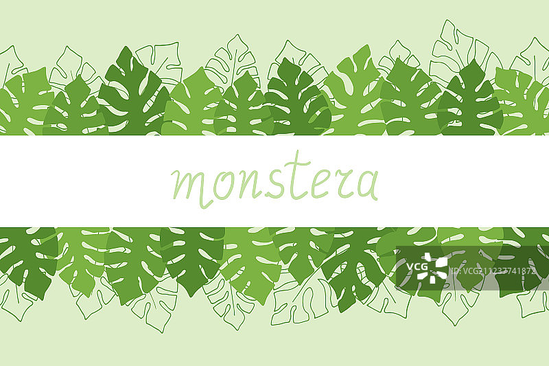 手绘龟背竹文案空间图片素材