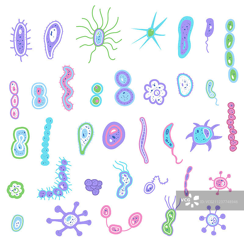 细菌细胞组合图片素材