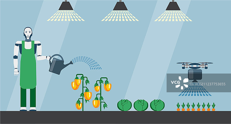 机器人和无人机浇灌蔬菜图片素材