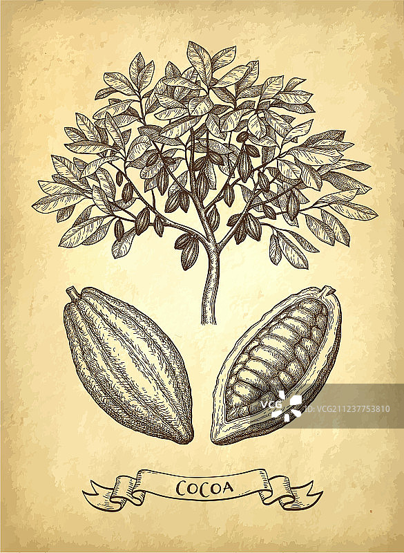 可可水墨草图图片素材