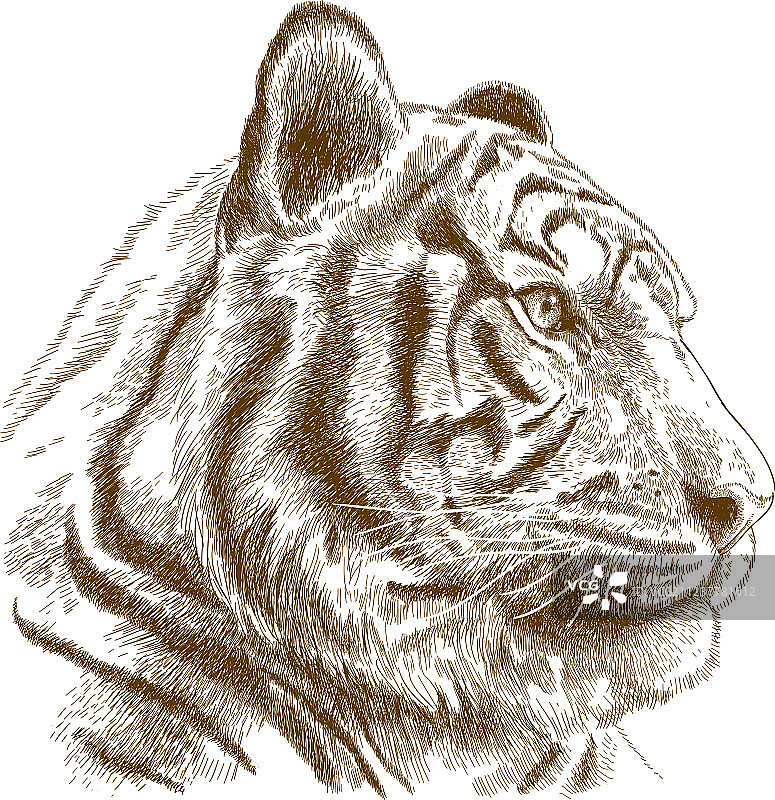 虎头雕刻图片素材