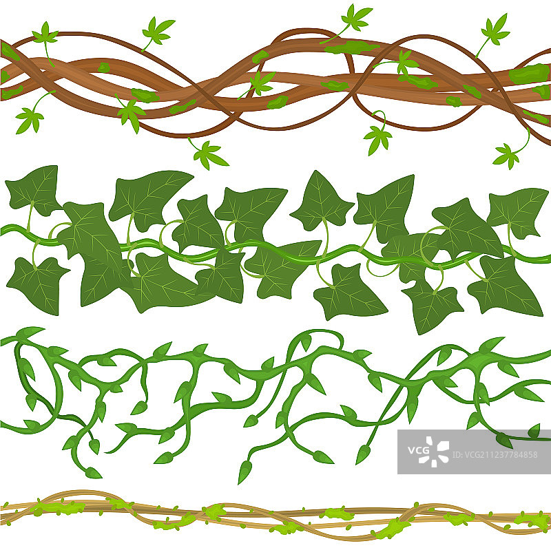 卡通绿色野生藤蔓树枝图片素材
