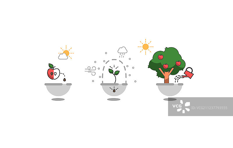 植物生长时间轴信息图设计步骤图片素材