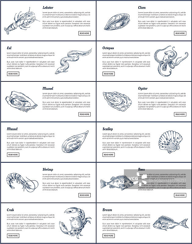 海鲜鱼类素描雕刻图片素材