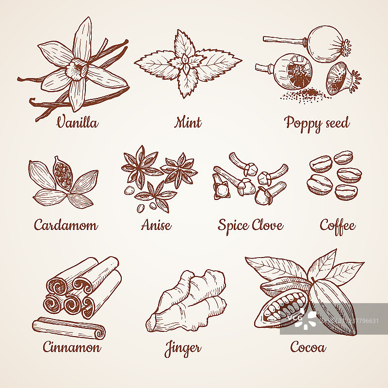 肉桂巧克力柠檬和其他厨房香草图片素材