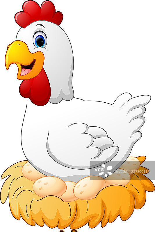 可爱的母鸡孵蛋图片素材