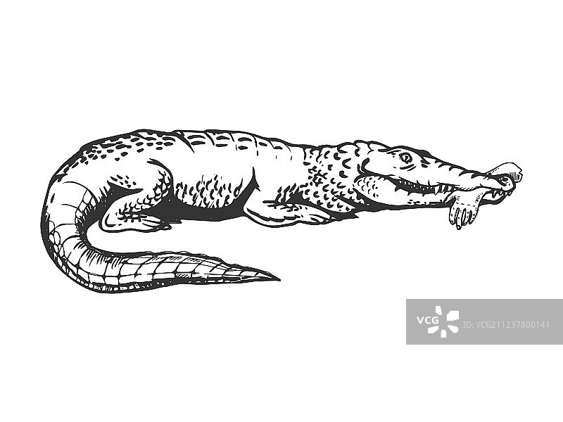 手工雕刻鳄鱼图片素材