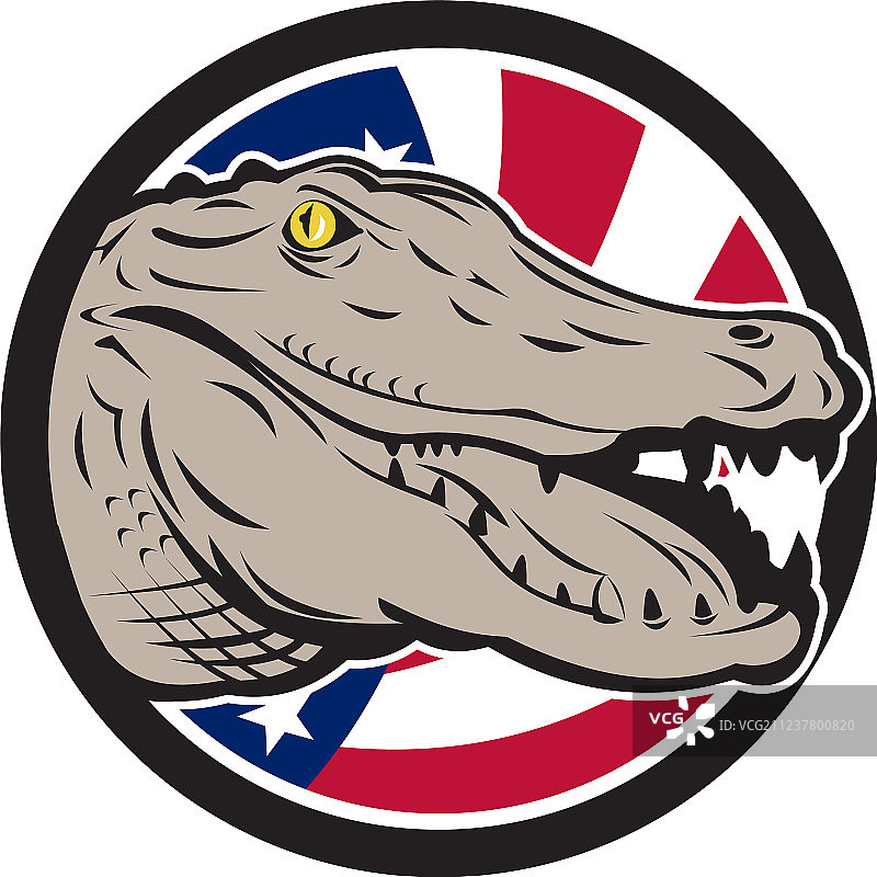 带有美国国旗标志的美洲鳄鱼图片素材